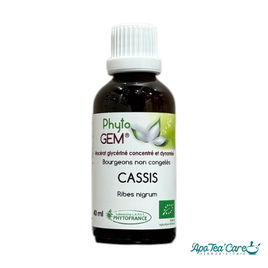 Macérat Phyto’gem Concentré de Bourgeons de Cassis BIO 40ml PhytoFrance