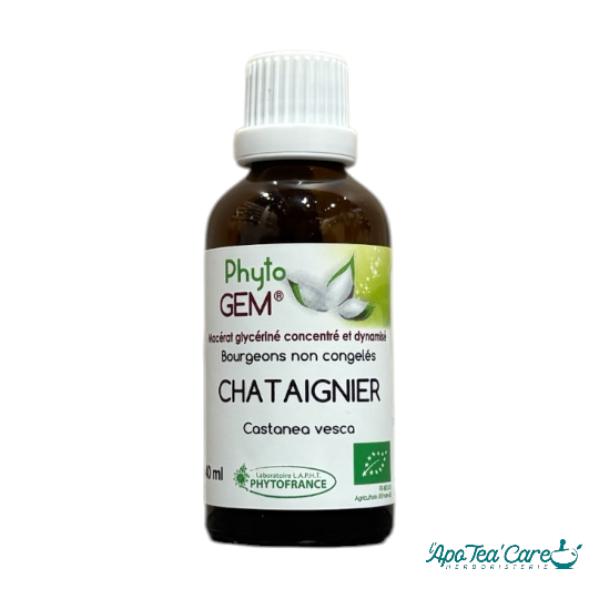 Macérat Phyto’gem Concentré de Bourgeons Chataignier BIO 40ml PhytoFrance
