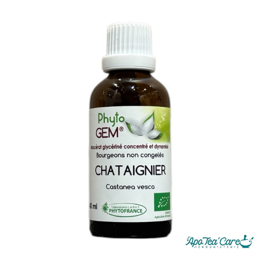 Macérat Phyto’gem Concentré de Bourgeons Chataignier BIO 40ml PhytoFrance