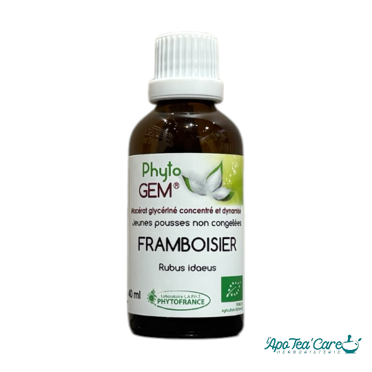 Macérat Phyto'gem Concentré de Bourgeons Framboisier BIO 40ml PhytoFrance