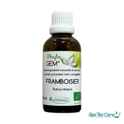 Macérat Phyto'gem Concentré de Bourgeons Framboisier BIO 40ml PhytoFrance