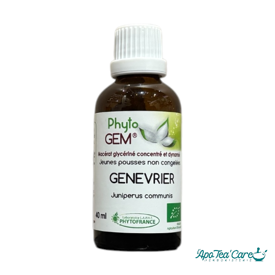 Macérat Phyto’gem Concentré de Bourgeons Genévrier BIO 40ml PhytoFrance