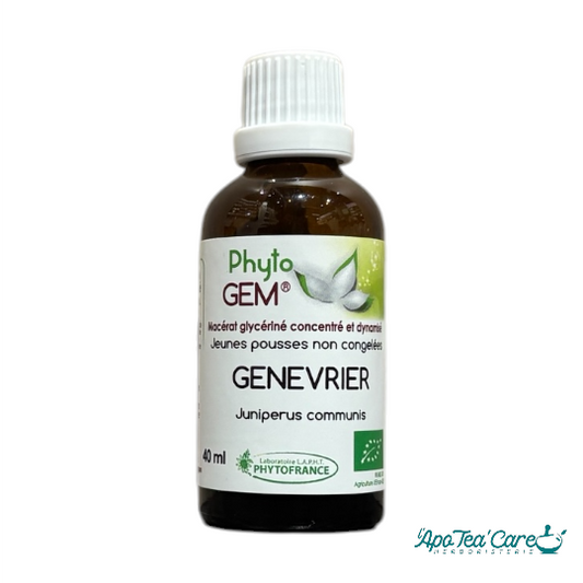 Macérat Phyto’gem Concentré de Bourgeons Genévrier BIO 40ml PhytoFrance