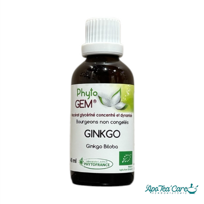 Macérat Phyto’gem Concentré de Bourgeons - Ginkgo Biloba BIO 40ml PhytoFrance