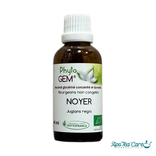 Macérat Phyto’gem Concentré de Bourgeons Noyer BIO 40ml PhytoFrance