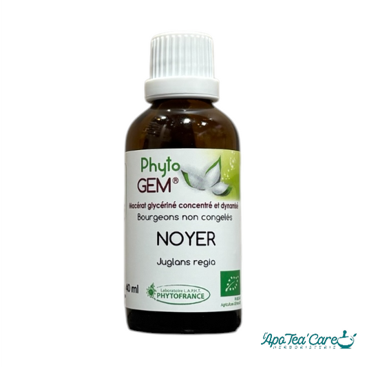 Macérat Phyto’gem Concentré de Bourgeons Noyer BIO 40ml PhytoFrance