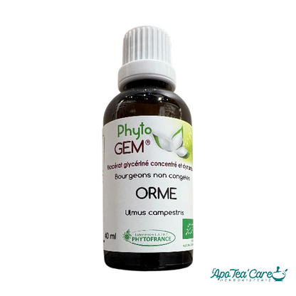 Macérat Phyto’gem Concentré de Bourgeons Orme BIO 40ml