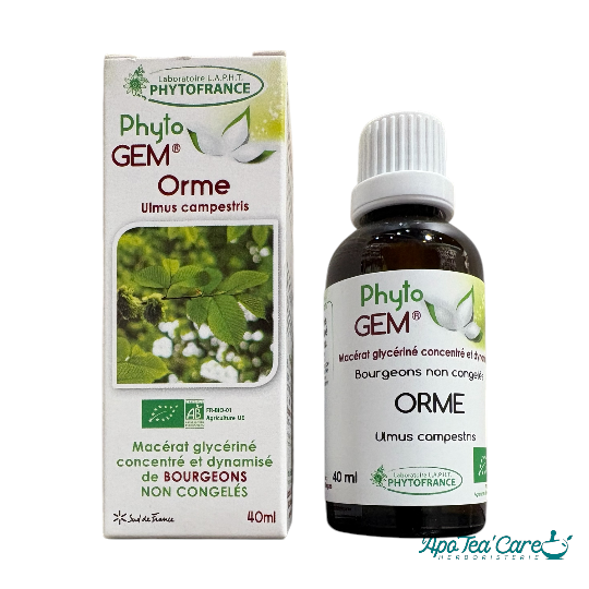 Macérat Phyto’gem Concentré de Bourgeons Orme BIO 40ml