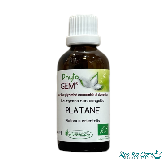 Macérat Platane Bio 40ml - Peau Eczéma & Gemmothérapie PhytoFrance