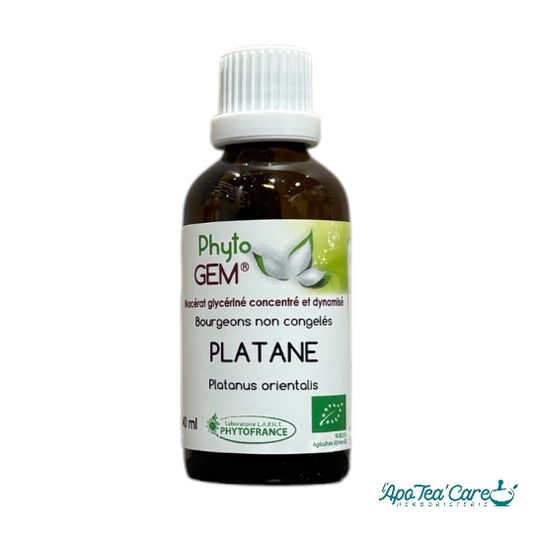Macérat Platane Bio 40ml - Peau Eczéma & Gemmothérapie PhytoFrance