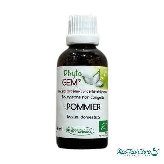 Macérat Phyto’gem Concentré de Bourgeons Pommier BIO 40ml Détox et Vitalité