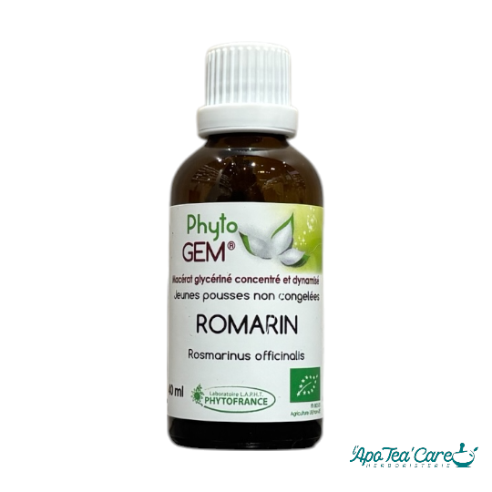 Macérat Phyto’gem Concentré de Bourgeons Romarin BIO 40ml PhytoFrance