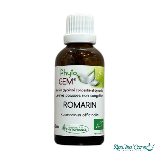 Macérat Phyto’gem Concentré de Bourgeons Romarin BIO 40ml PhytoFrance