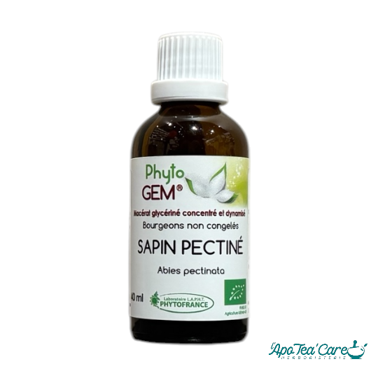 Macérat Phyto’gem Concentré de Bourgeons Sapin Pectiné BIO 40ml PhytoFrance