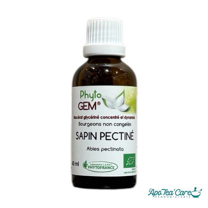 Macérat Phyto’gem Concentré de Bourgeons Sapin Pectiné BIO 40ml PhytoFrance