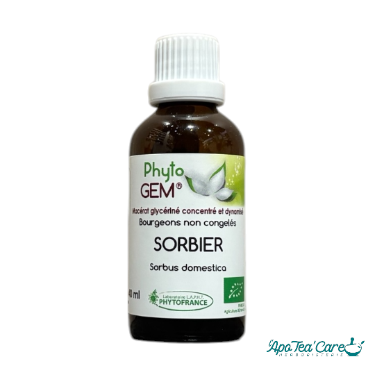 Macérat Phyto'gem Concentré de Bourgeons de Sorbier BIO 40ml PhytoFrance
