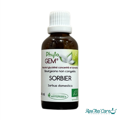 Macérat Phyto'gem Concentré de Bourgeons de Sorbier BIO 40ml PhytoFrance