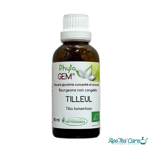 Macérat Phyto’gem Concentré de Bourgeons Tilleul BIO 40ml PhytoFrance