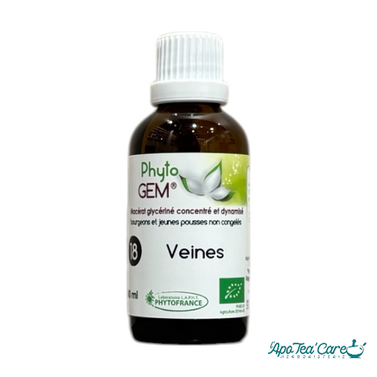 Veines et Capillaires Phyto'gem Bio 40ml PhytoFrance