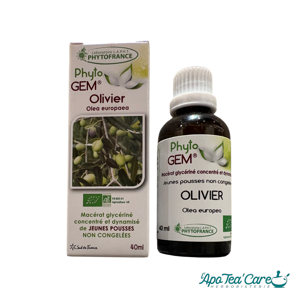 Macérat Phyto'gem Concentré de Bourgeons d' Olivier BIO 40ml — PhytoFrance