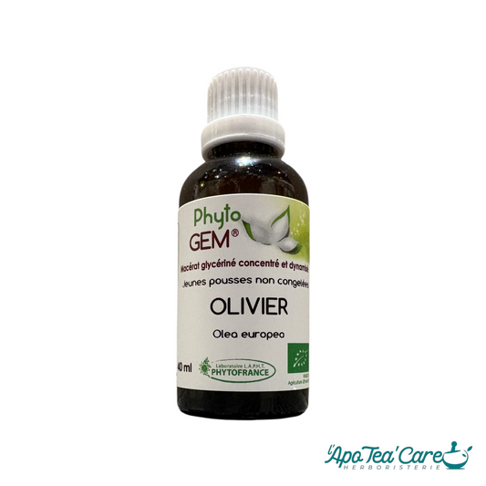 Macérat de bourgeons d'Olivier -soutien de l'équilibre cardio vasculaire- L'ApoTea'Care