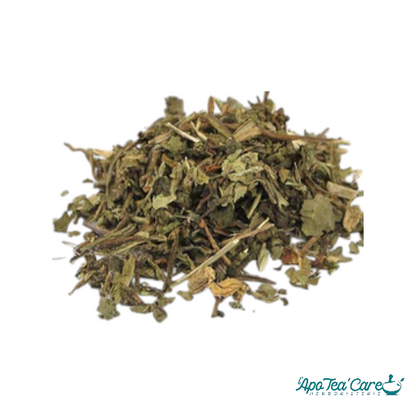 Pissenlit Feuille Coupée - Détox & Drainage Naturel