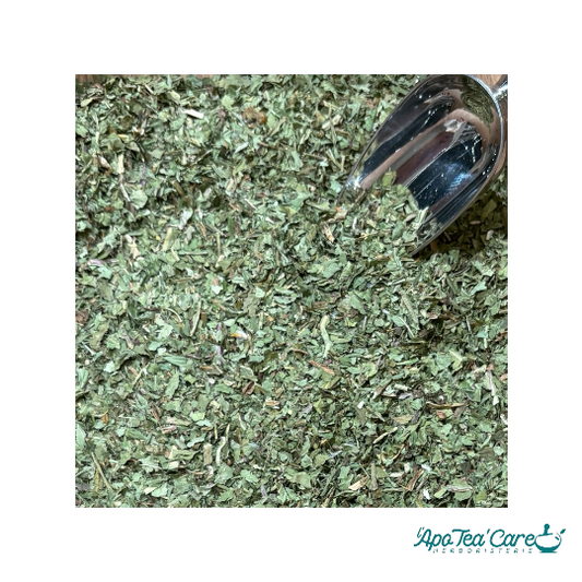 Pissenlit Feuille Coupée - Détox & Drainage Naturel