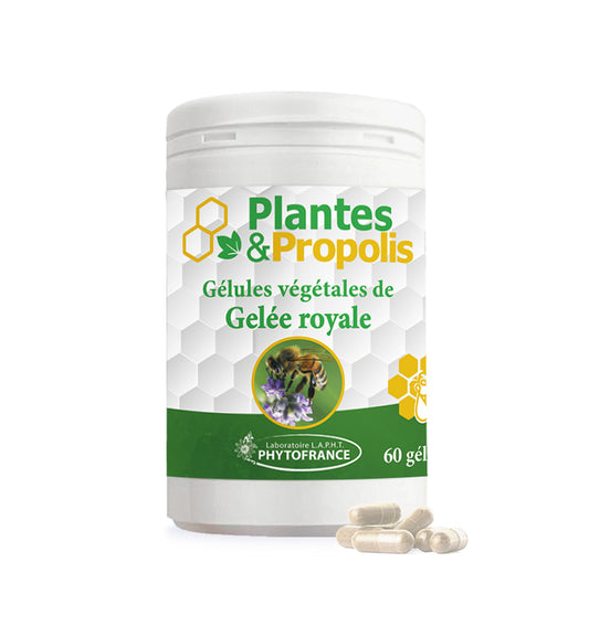 Propolis 60 Gélules