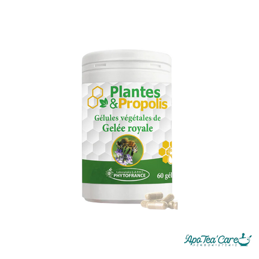 Propolis 60 Gélules