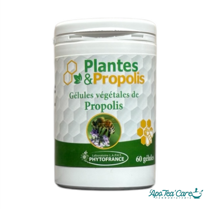 Propolis Gélules 250mg x60 Bio | Immunité & Gorge PhytoFrance L'ApoTea'Care
