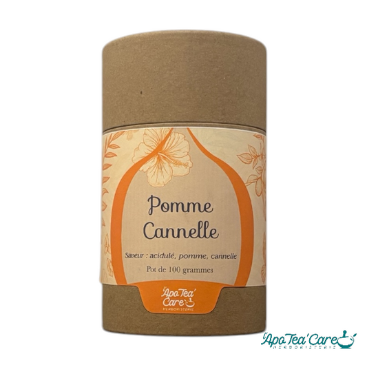 Savoureuse Pomme Cannelle en tube 100g