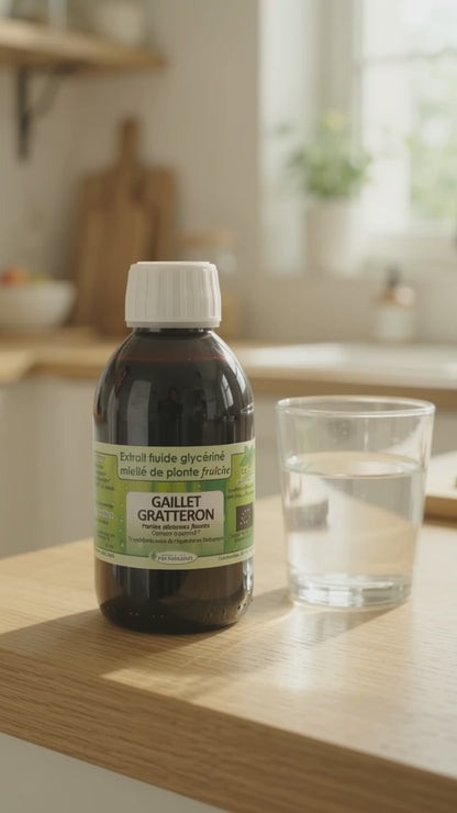 Extrait Fluide Glycériné De Gaillet Gratteron Herboristerie L'ApoTea'Care