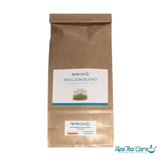 Psyllium Blond Poudre BIO Ispaghul