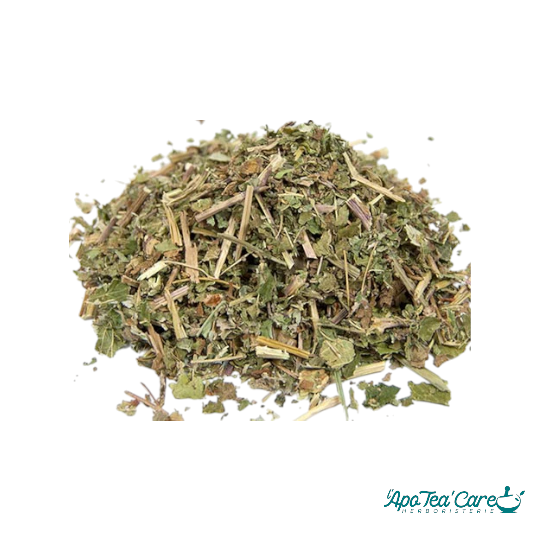 Reine des Prés Tisane Bio Fleur