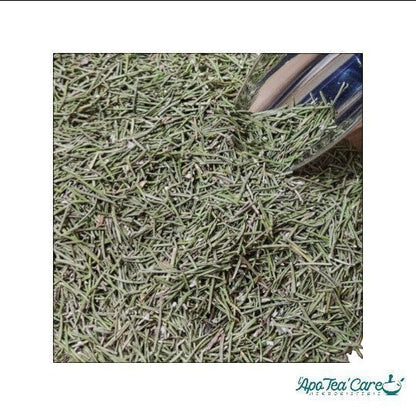 Feuilles de romarin bio pour la digestion et la vitalité - L'ApoTea'Care Herboristerie