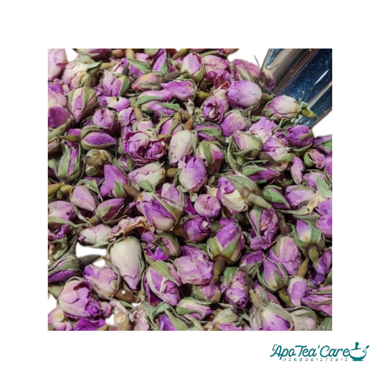 Rose de Damas Bouton Floral - Bien-être &  Infusion Délicate