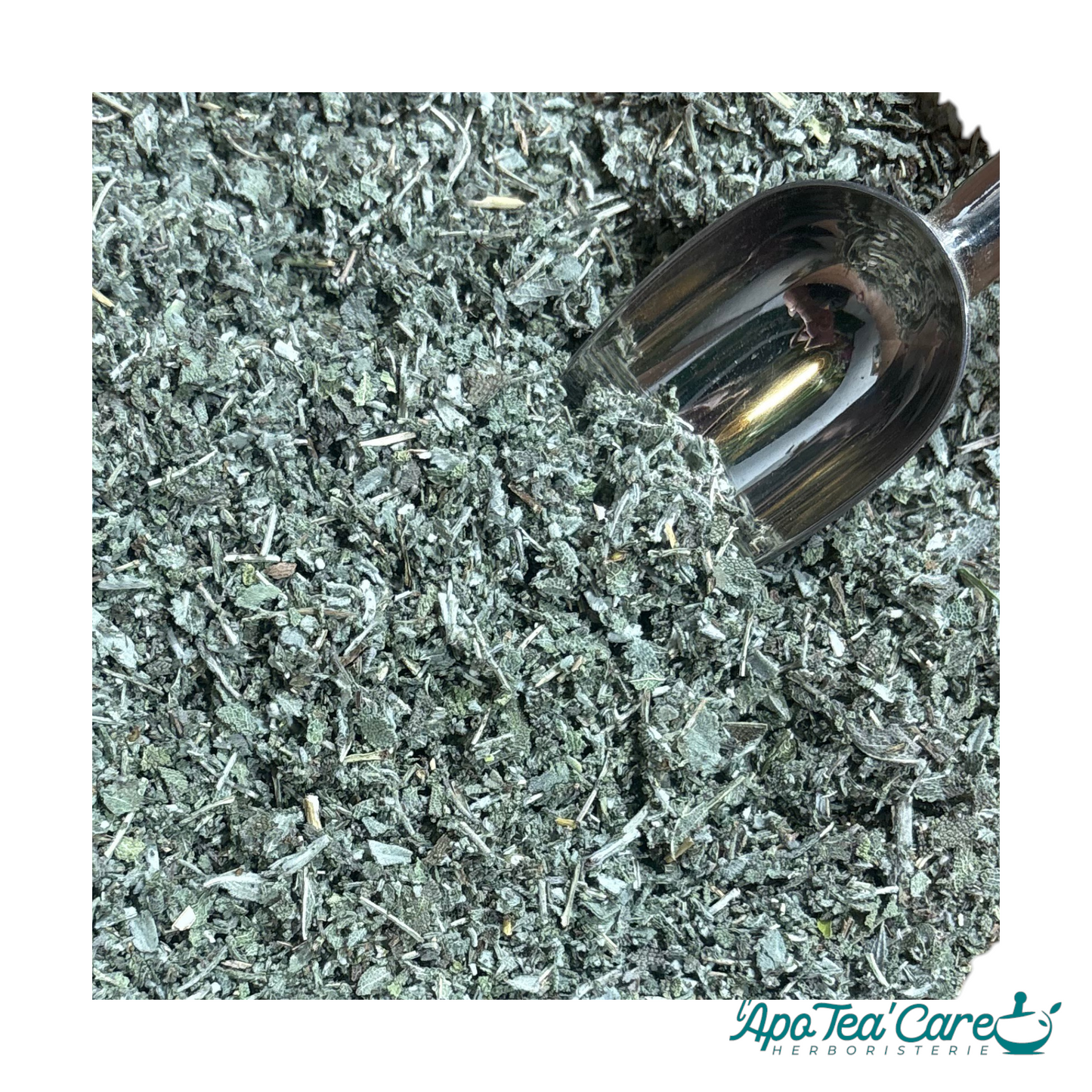 Sauge Officinale Bio France feuilles mondées – Plante médicinale digestion & ménopause | L'ApoTea'Care