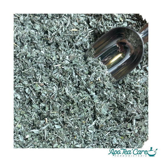 Sauge Officinale Bio France feuilles mondées – Plante médicinale digestion & ménopause | L'ApoTea'Care