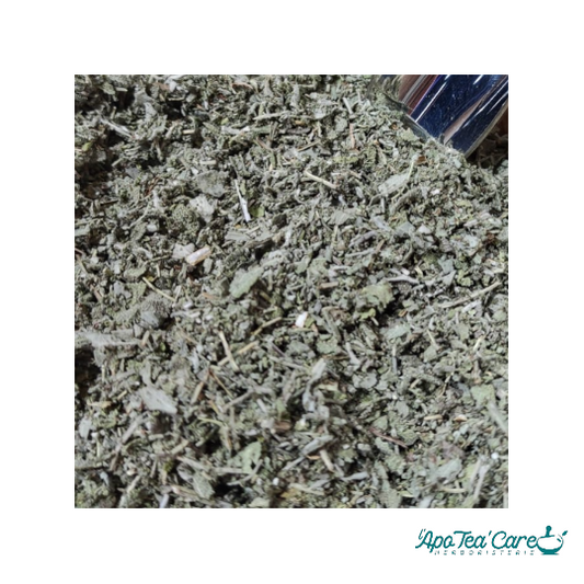 Sauge Officinale de France Bio feuille coupée- Digestion &  Bien-être Féminin
