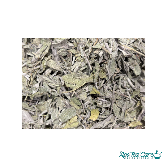 Sauge Officinale feuille Mondée Bio France Qualité Premium