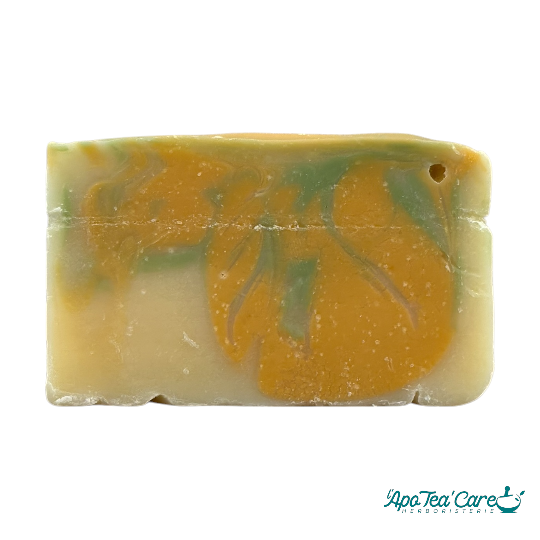 Savon aloe vera citronné bio pour les peaux mixtes à grasses - Herboristerie L'apoTea'Care et les savons fous 