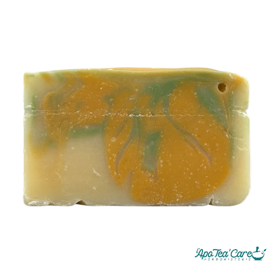 Savon aloe vera citronné bio pour les peaux mixtes à grasses - Herboristerie L'apoTea'Care et les savons fous 