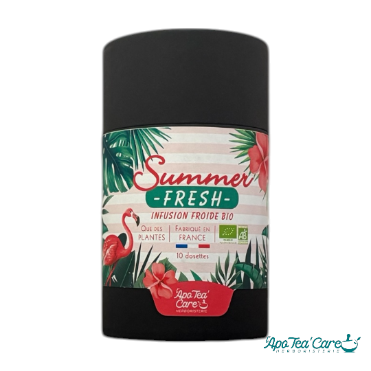 Summer Fresh Bio en tube 10 infusettes
