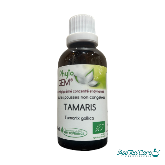 Le Macérat Phyto'gem de Bourgeons de Tamaris Bio 40ml - Circulation et Vitalité PhytoFrance