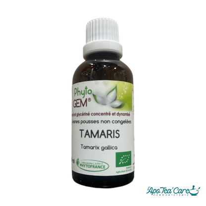 Le Macérat Phyto'gem de Bourgeons de Tamaris Bio 40ml - Circulation et Vitalité PhytoFrance