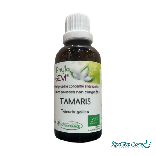 Le Macérat Phyto'gem de Bourgeons de Tamaris Bio 40ml - Circulation et Vitalité PhytoFrance