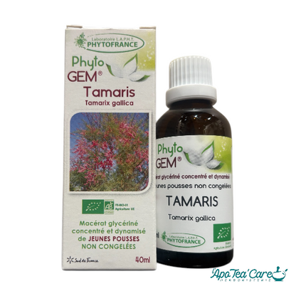 Le Macérat Phyto'gem de Bourgeons de Tamaris Bio 40ml - Circulation et Vitalité PhytoFrance