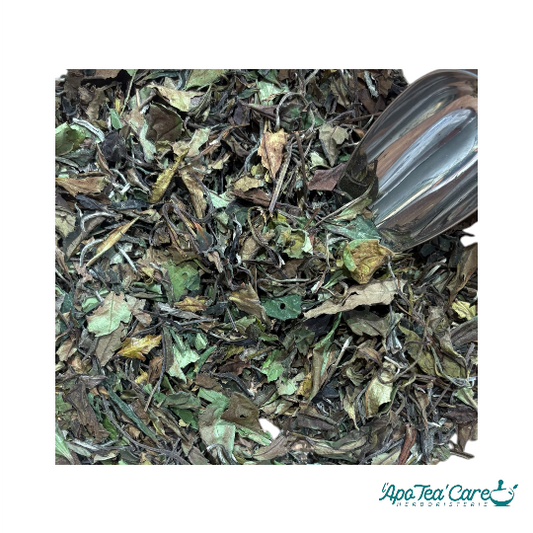 Thé blanc Bai Mu Dan Pivoine Blanche du Fujian – premium L'ApoTea'Care