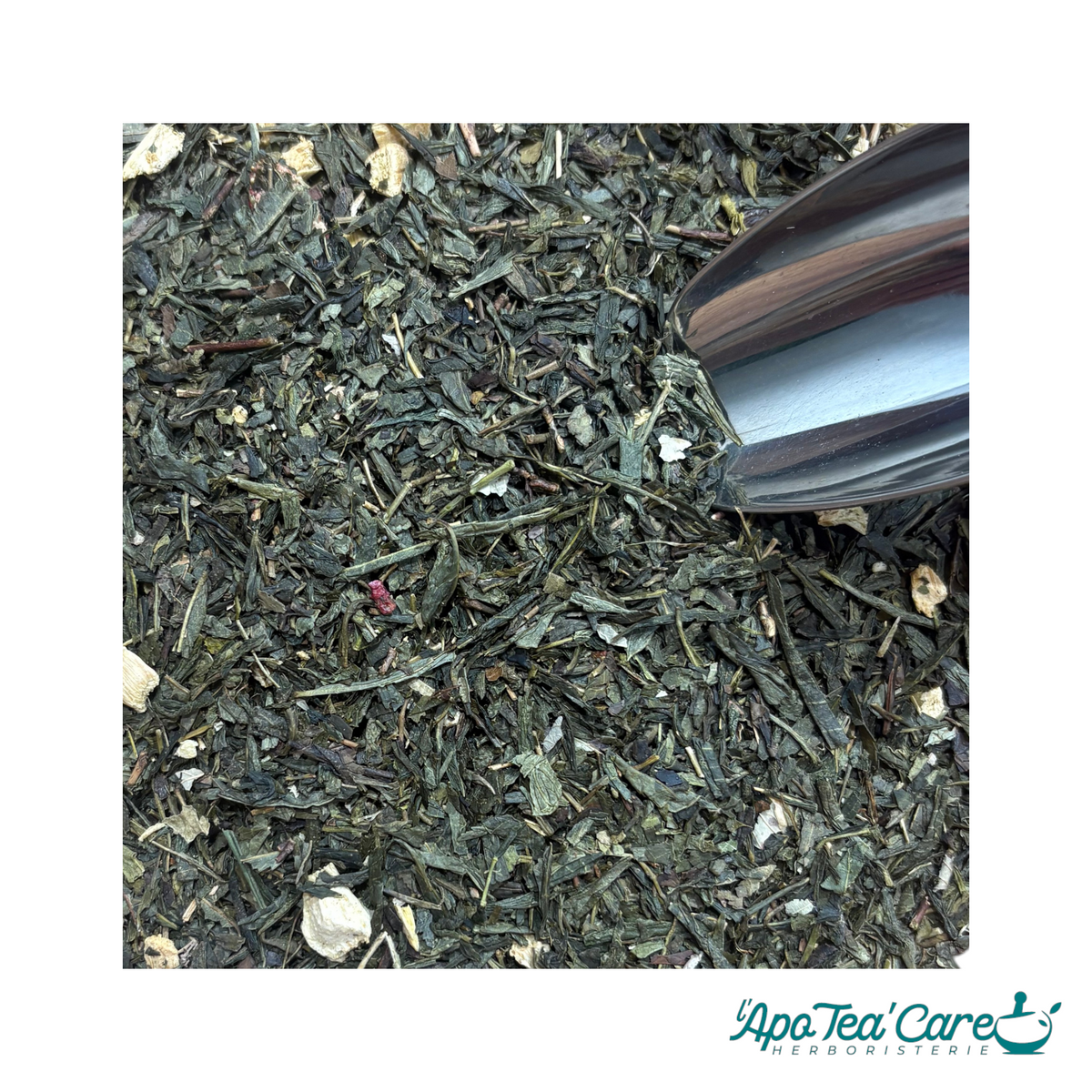 Thé Vert Fraise Rhubarbe – Mûre, Acidulé & Fruité