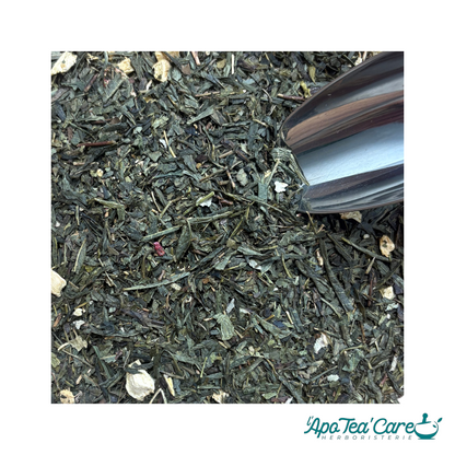 Thé Vert Fraise Rhubarbe – Mûre, Acidulé & Fruité